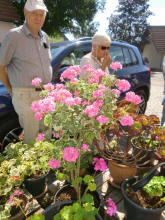 Anneroses Garten