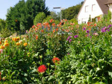 Anneroses Garten