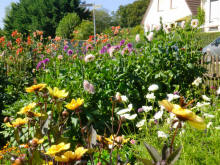 Anneroses Garten